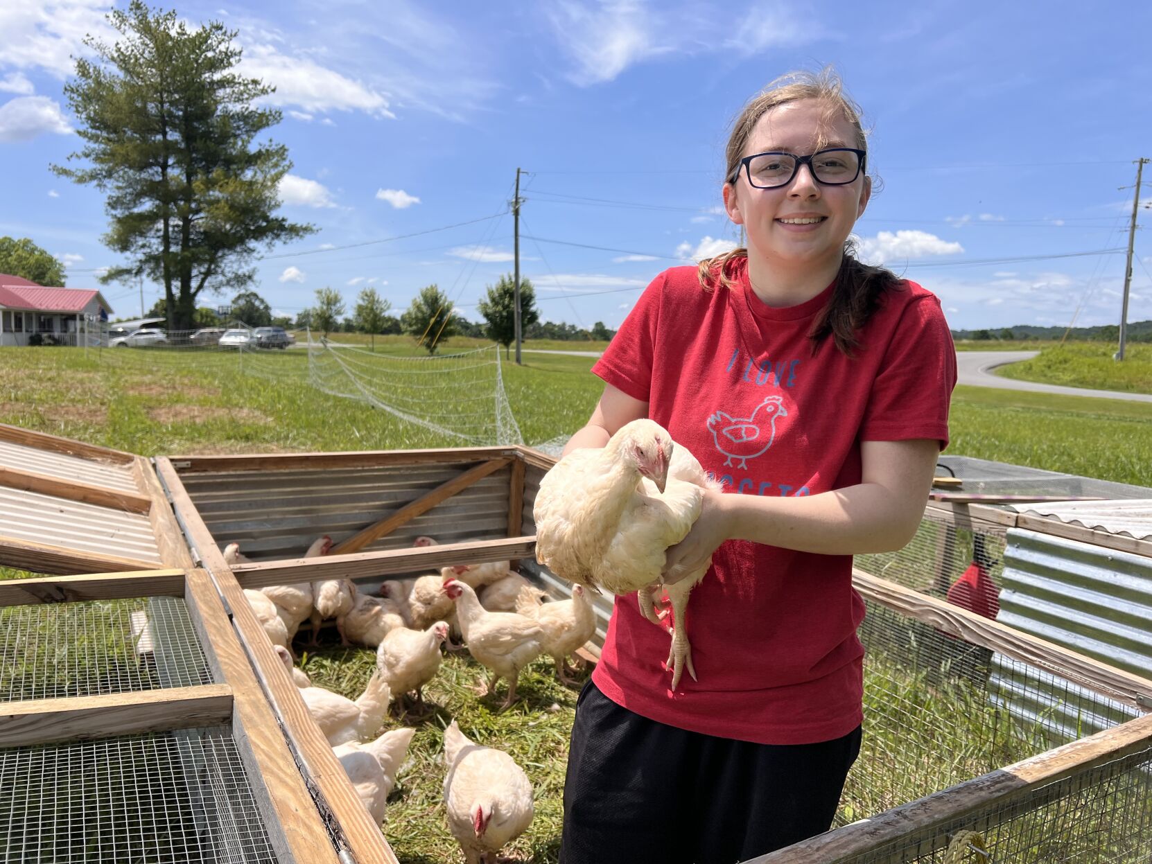 Flat Gap Farm chickens.jpg